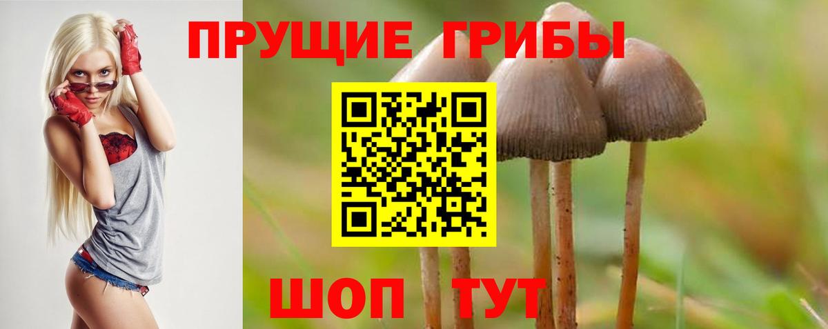 Краснодар  Псилоцибиновые грибы мицелий  наркота  Вход с VPN 